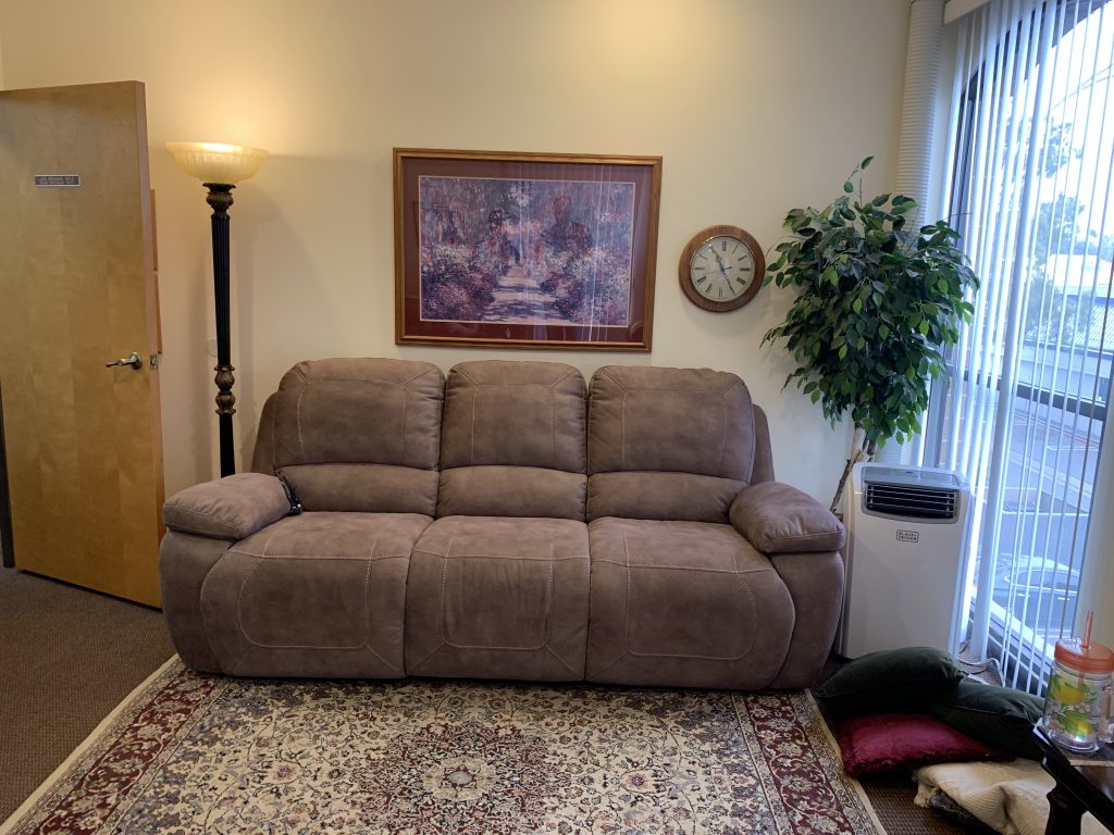 A calm room with a sofa, rug and natural light
